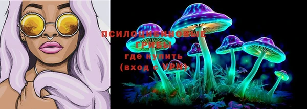 a pvp Богданович
