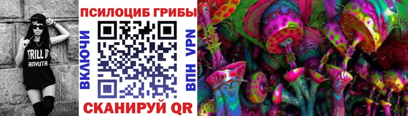 Псилоцибиновые грибы Cubensis  продажа наркотиков  Борзя 