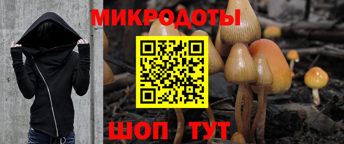 купить наркотик  Галлюциногенные грибы MAGIC MUSHROOMS  Вход с VPN  Псилоцибиновые грибы GOLDEN TEACHER  Борзя 