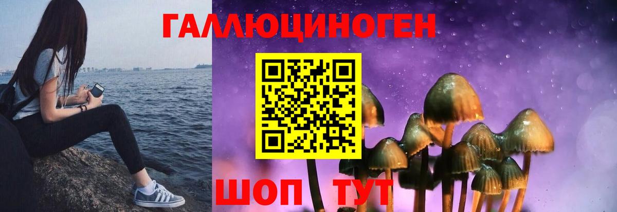 Галлюциногенные грибы Cubensis Борзя