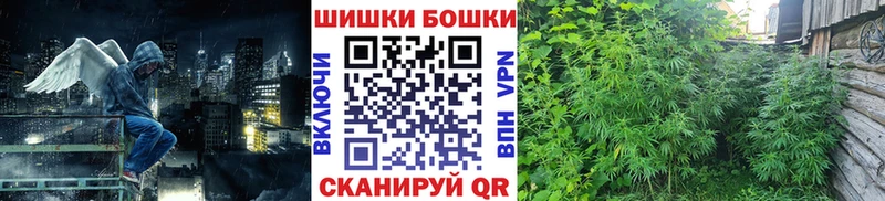 МАРИХУАНА сатива  наркота  Борзя 